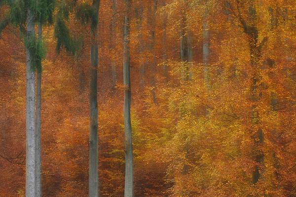 Herbst am Iserbachtal