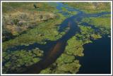 Flug in das Okavango-Delta 8