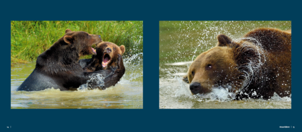 Wildpark Impressionen – Naturfotografie im Tiergarten Weilburg