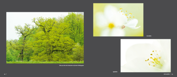 Wildpark Impressionen – Naturfotografie im Tiergarten Weilburg