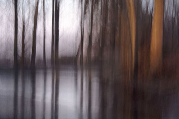 Bild des Monats Januar 2004 - Auenlandschaft im Winter - Zugefrorener Rheinaltarm mit Galeriewald, Kühkopf/Hessen