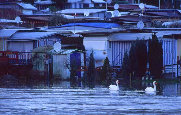Bild des Monats März 2005 - Hochwasser an der Lahn