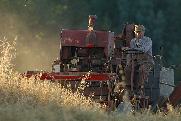 Bild des Monats September 2007 – Landwirt bei der Ernte - Weinbach in Mittelhessen