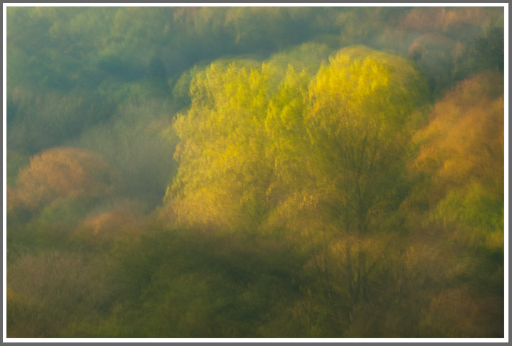 Bild des Monats November 2011 – Mischwald im Herbst - Herbststimmung am Iserbachtal (Mittelhessen)