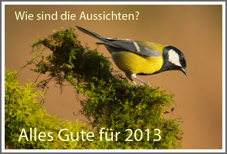 Bild des Monats Januar 2013 - Abschied 2012 - 29. Dezember 2012: Schönes Licht am Geburtstag meiner 2012 verstorbenen Mutter...