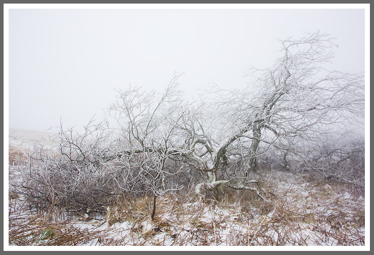 Bild des Monats Januar 2014 – Winterimpression auf der Hochrhön am 29. Dezember 2013 - Guten Beschluss, wünscht man sich in dieser Gegend. Allen Bilderguckern ein gutes Jahr 2014!