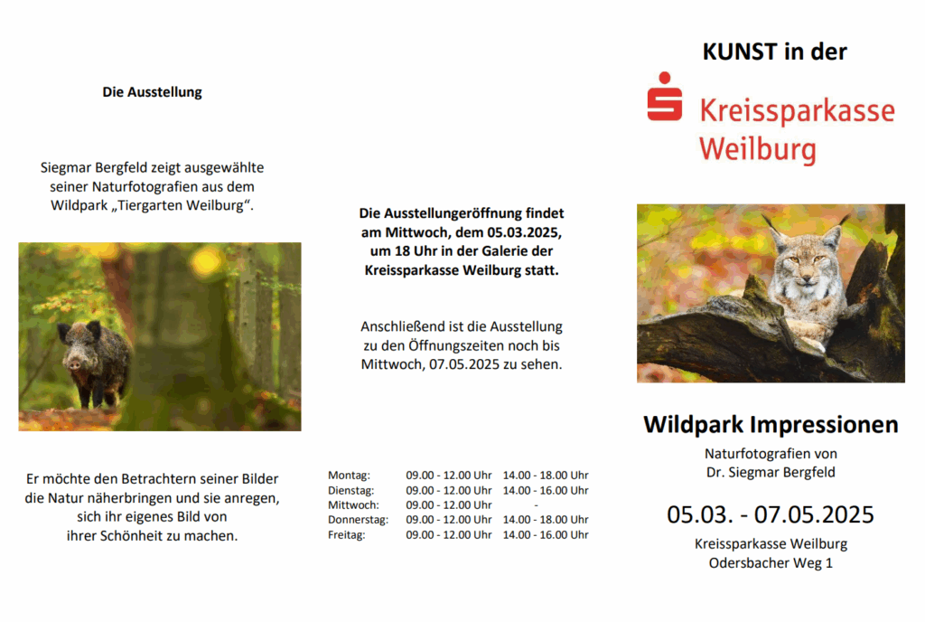 Ausstellungen 2 Screenshot 2025 05 02 104648 1