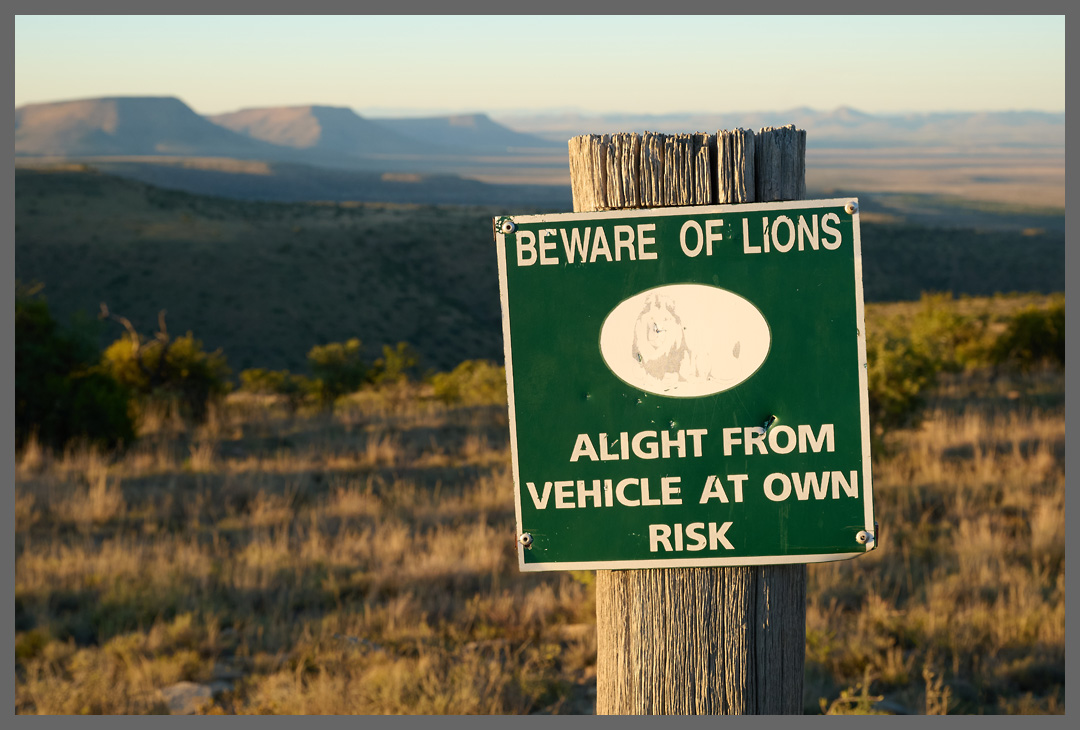 Der Mountain Zebra NP wurde zum Schutz des vom Aussterben bedrohten Kap-Bergzebras mit sechs Tieren gegründet. Heute leben im Park wieder knapp tausend Bergzebras, so dass es zur Regulierung auch wieder Prädatoren geben kann.