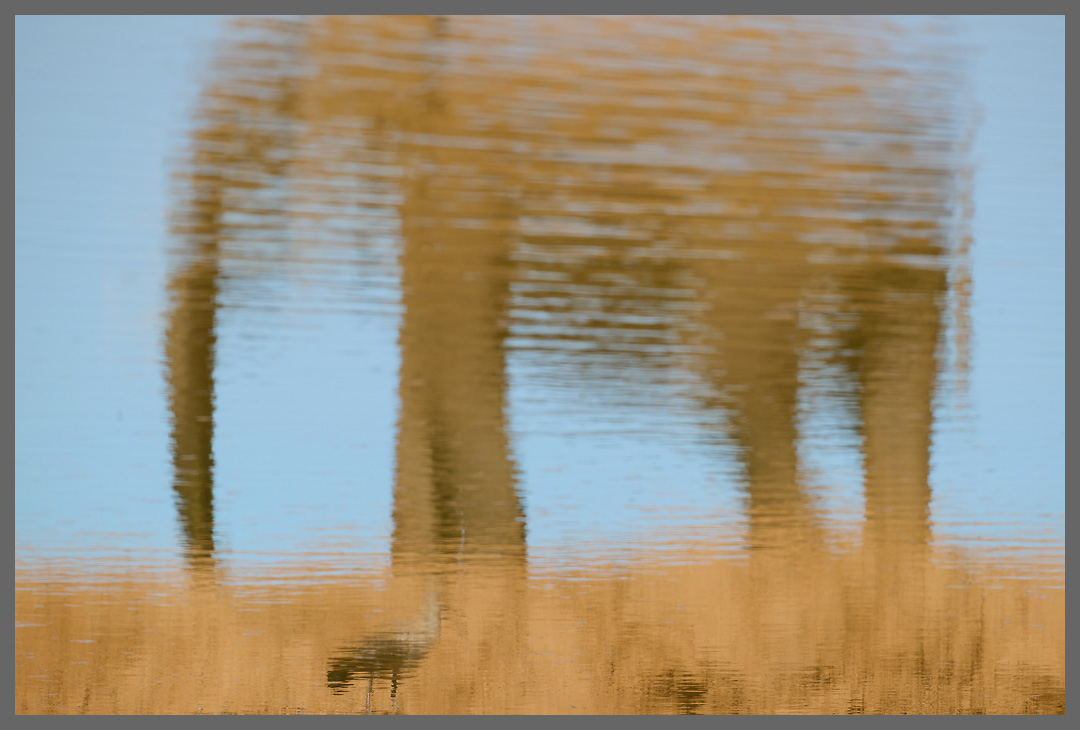 Hagedasch und Elefant