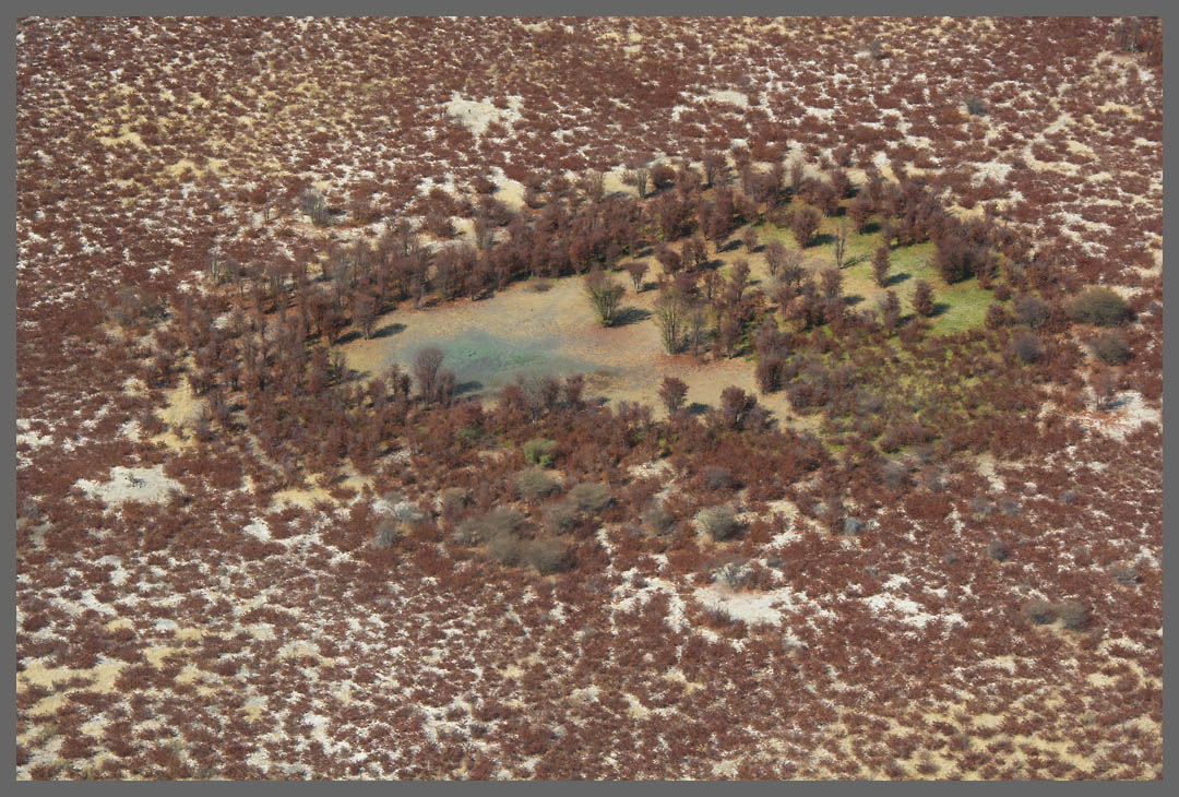 Flug über das Okavango-Delta I - Der Flug eröffnet ein faszinierendes Nebeneinander von trockenen Savannen und Feuchtgebieten.