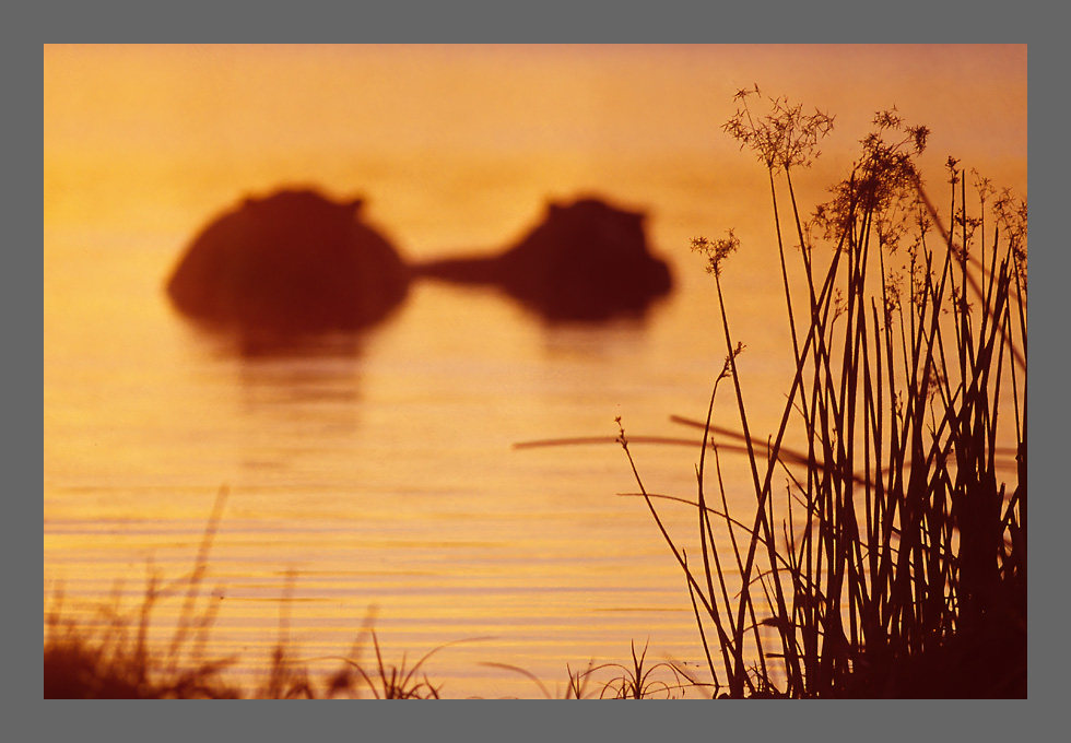 Vor dem Landgang - Dia von 1998