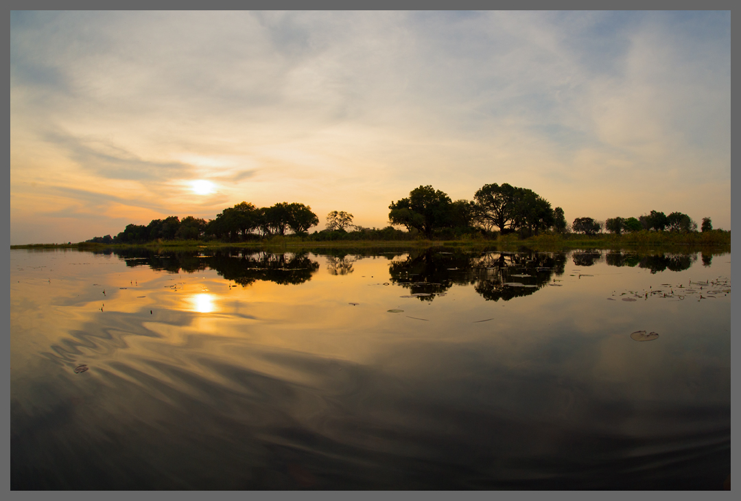 Sonnenuntergang im Okavango-Delta I