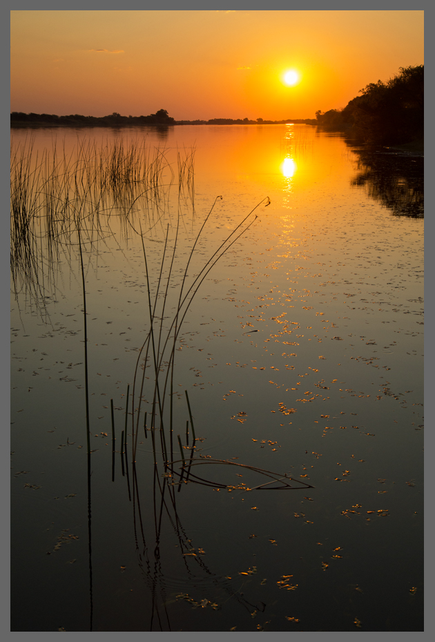 Sonnenuntergang im Okavango-Delta II