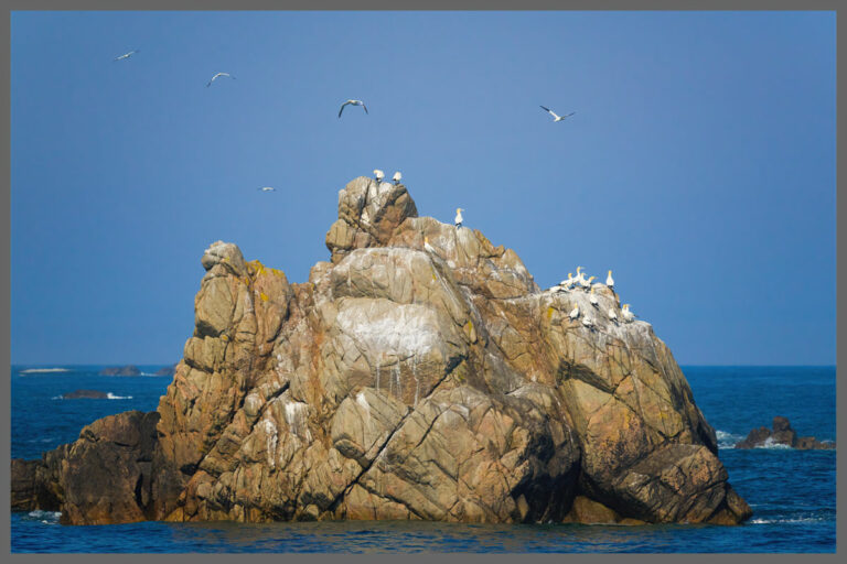 Frankreich: Normandie/Bretagne/Loire