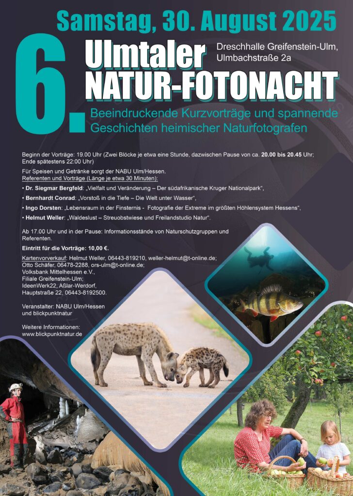 Flyer 6. Naturfotonacht