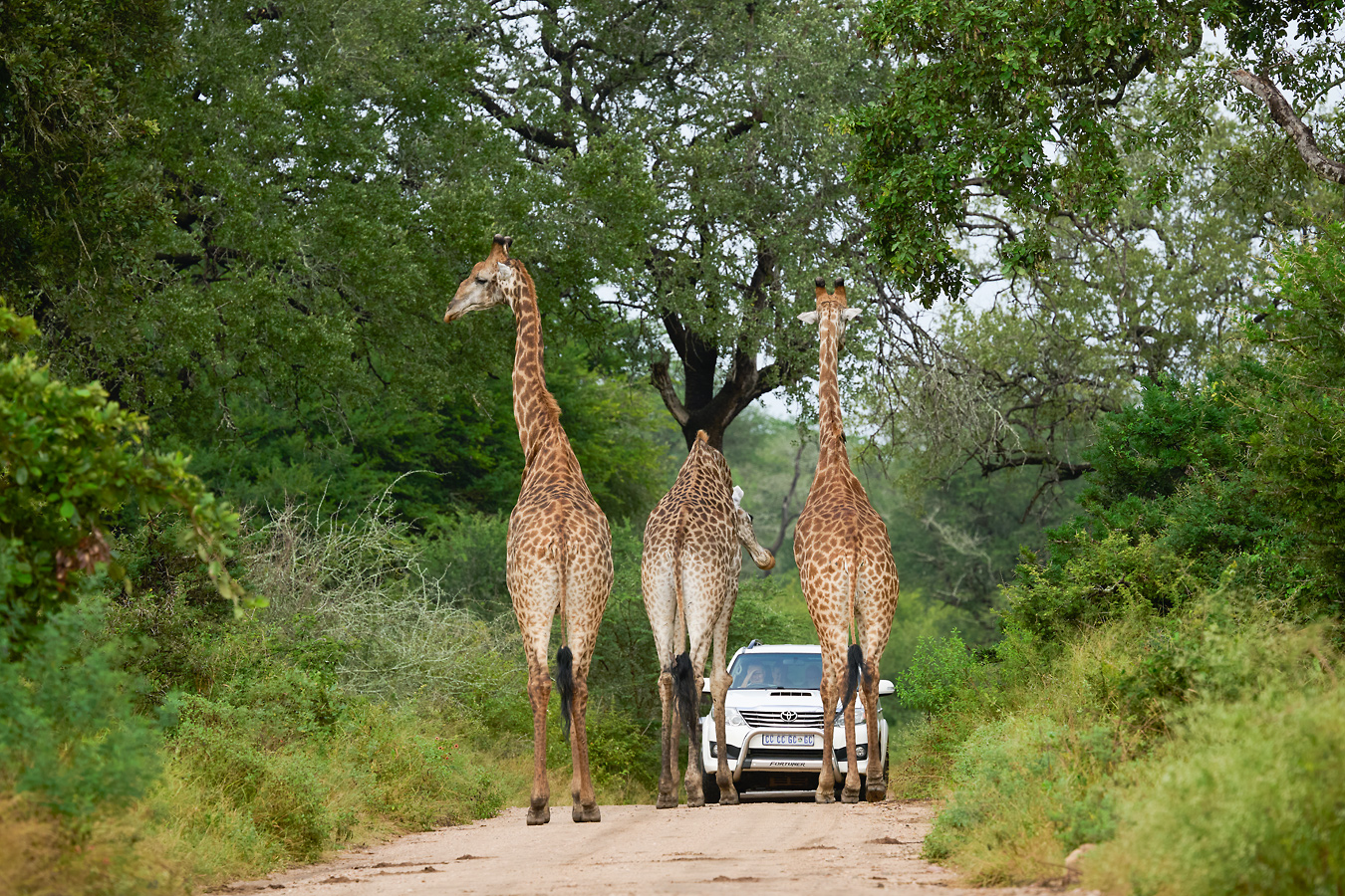 War hier nicht gesperrt? Einer der wenigen befahrbaren nicht geteerten Wege.